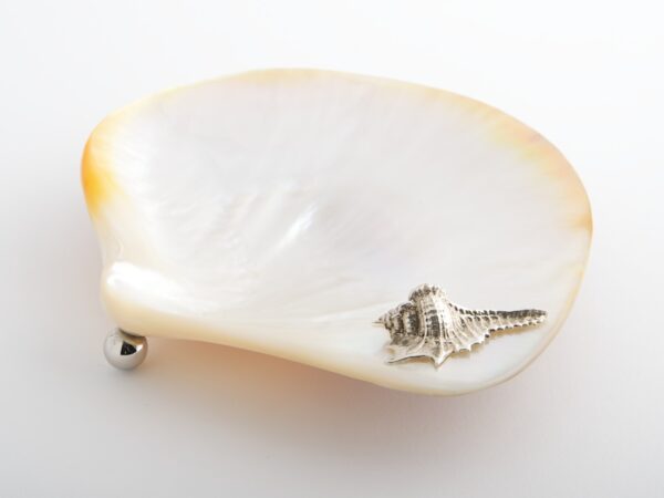 Shell Mother of Pearl Plate - Silver