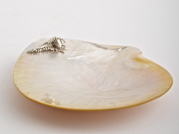 Shell Mother of Pearl Plate - Silver